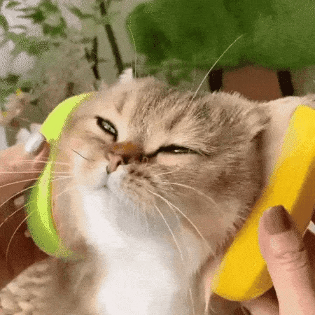 Customer video thumbnail 1