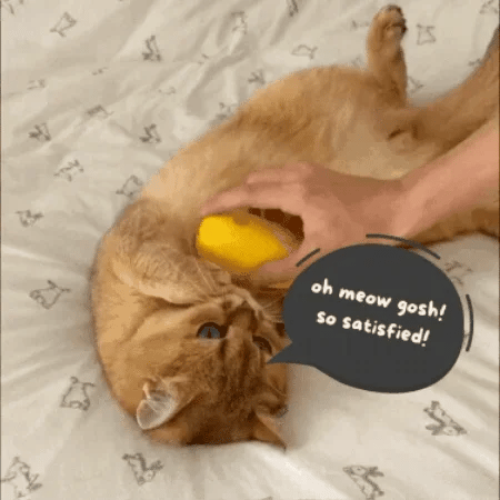 Customer video thumbnail 3